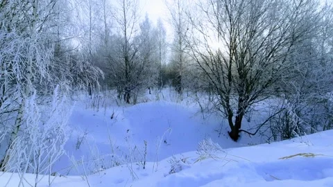 View of the river landscape after a snowfall Stock Footage 260849159
