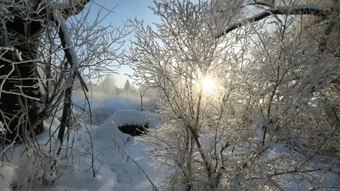 View of the river landscape forest Stock Footage 327769380