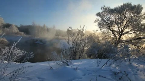 View of the river landscape forest Stock Footage 327769382
