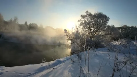 View of the river landscape forest Stock Footage 327769385