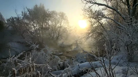 View of the river landscape forest Stock Footage 327769386
