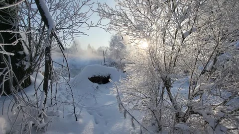 View of the river landscape forest Stock Footage 327769407