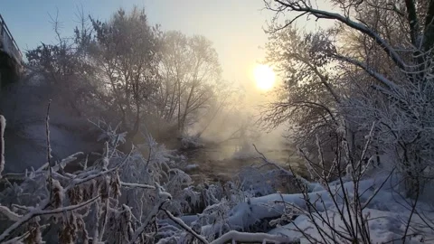 View of the river landscape forest Stock Footage 327769408
