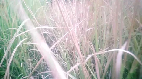 View on the river love Stock Footage 169694104