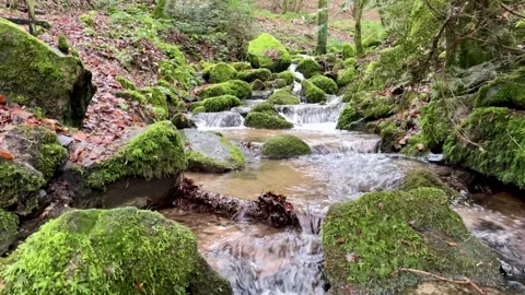 View of a river in the mountains in winter without snow Video stock 259895960