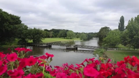 View Of A River In A Park With A Pedestrian Bridge And Flowers In The Foreground Stock Footage 305426703