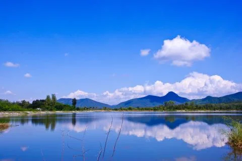 View to river Stock Photos