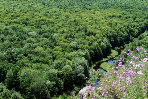 View of the River Stock Photos