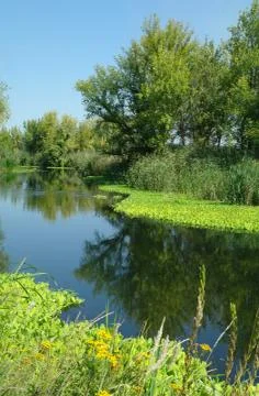 View on the river , Stock Photos
