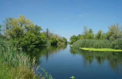 View on the river , Stock Photos