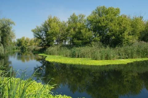 View on the river , Stock-Fotos