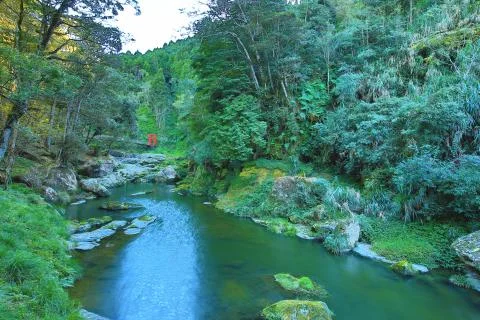 View of the river Stock Photos