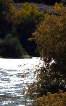 View of a River Stock Photos