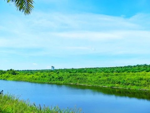View of the river Stock Photos