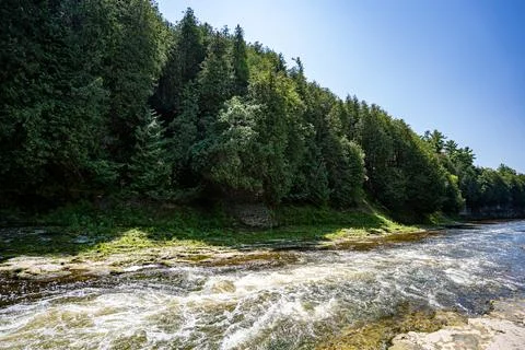 View of river rapids beside forested shoreline Stock Photos