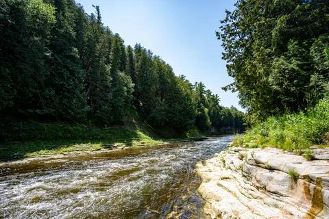View of river rapids beside forested shoreline Stock Photos
