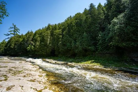 View of river rapids beside forested shoreline Stock Photos