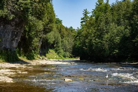 View of river rapids beside forested shoreline Stock Photos