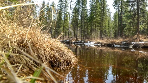 View to river with reflections and blue cloudy sky Stock Footage 63302518