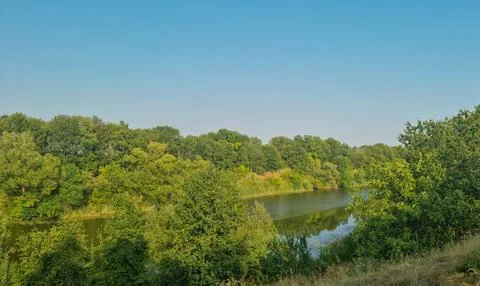 View of the river river with green trees on both sides under clear blue sky Stock Photos