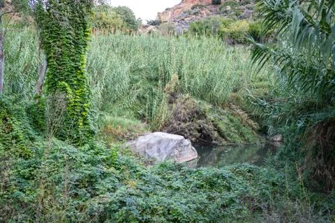 View of the river with rocks Stock Photos