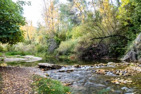 View of the river with rocks Foto stock