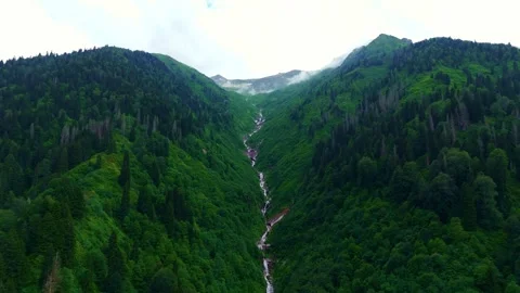 View a river running through a forest. Stock Footage 284106364