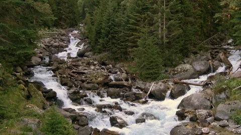 View river scenes in forest, national park Dombai, Caucasus, Russia Stock Footage 106633978