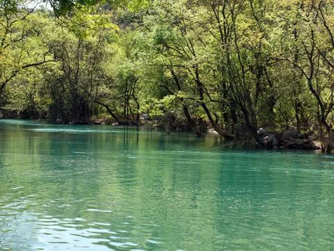 View at river scenic Stock Photos