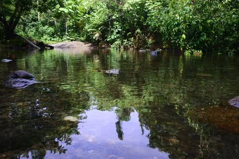 View of the river with the shadows of the trees and the blue sky Stock Photos