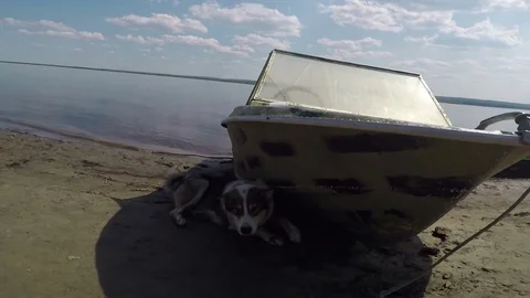 View of the river from the slope Stock Footage 69822488