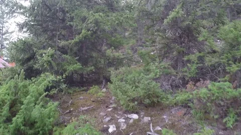 View of the river from the slope Stock Footage 69833050