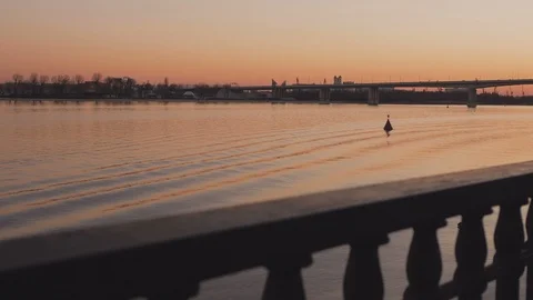 View of the river in the spring evening. Scenic sunset Stock Footage 105245553