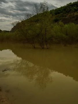 The view of the river in spring Stock Photos