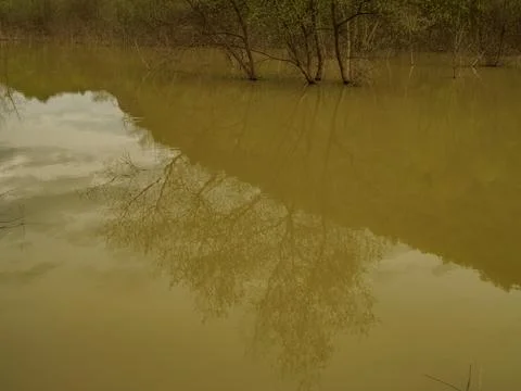 The view of the river in spring Stock Photos