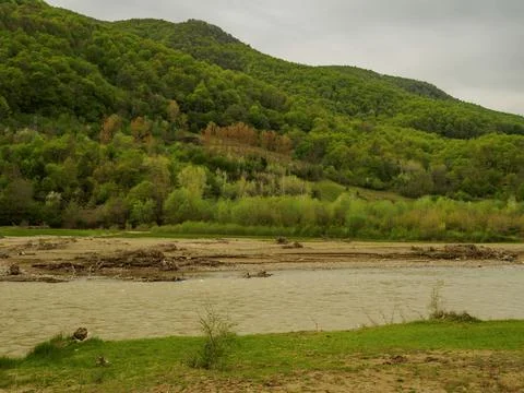 The view of the river in spring Stock Photos