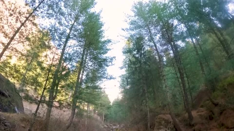 View of the river stream besides the rock in the forest at Soyal village  Stock Footage 189203843