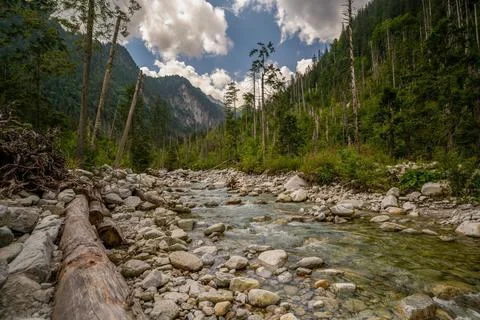 View of river stream surrounded by trees and stones on shores, hills on backg Stock Photos