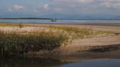 View of the river in summer Stock Footage 138067311