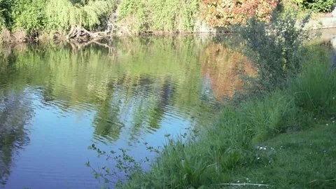 View on the river on a suny day Stock Footage 310576290