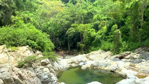 View of a river surrounded by trees Stock Footage 233257914