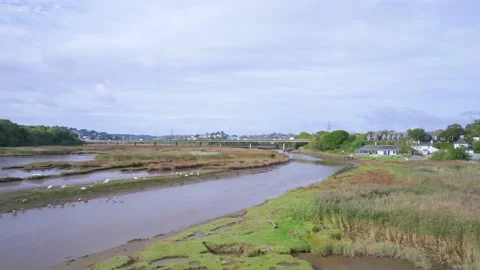 View of River Teign from a drone, Newton Abbot, Devon, England Stock-Footage 163655768