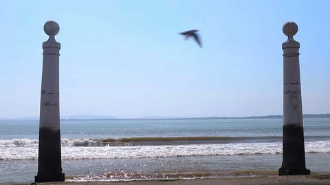 View on river Tejo, Lisbon Video stock 97451162