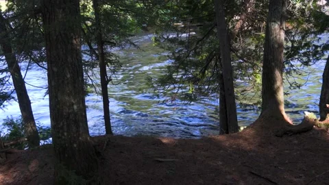 A View of a River Through a Clearing of Trees Stockbeeldmateriaal 166184422