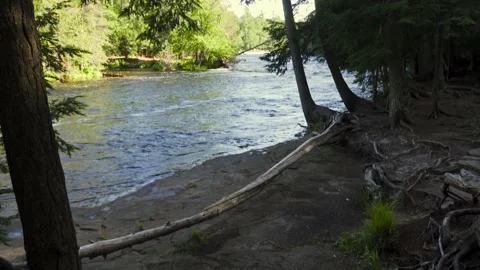 A View of a River Through a Clearing of Trees Stock Footage 166184555