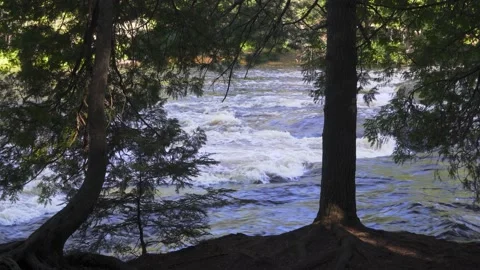 A View of a River Through a Clearing of Trees Stock Footage 166184575
