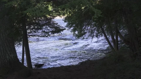 A View of a River Through a Clearing of Trees Stock Footage 166184587