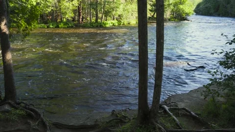 A View of a River Through a Clearing of Trees Stock Footage 166184591