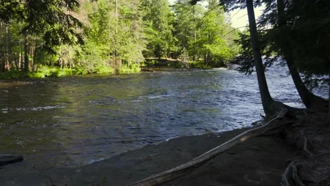 A View of a River Through a Clearing of Trees Stock Footage 166184634