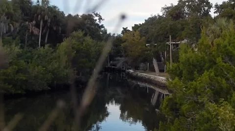 View of river through plants Vídeos de archivo 45246436